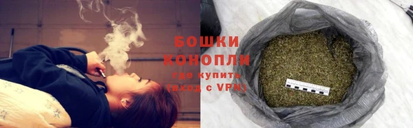 стафф Верхний Тагил