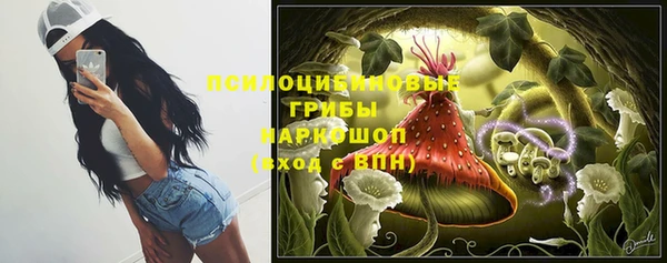 стафф Верхний Тагил