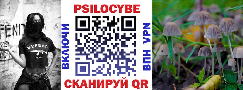 KRAKEN как зайти  Губаха  Псилоцибиновые грибы ЛСД  наркошоп 